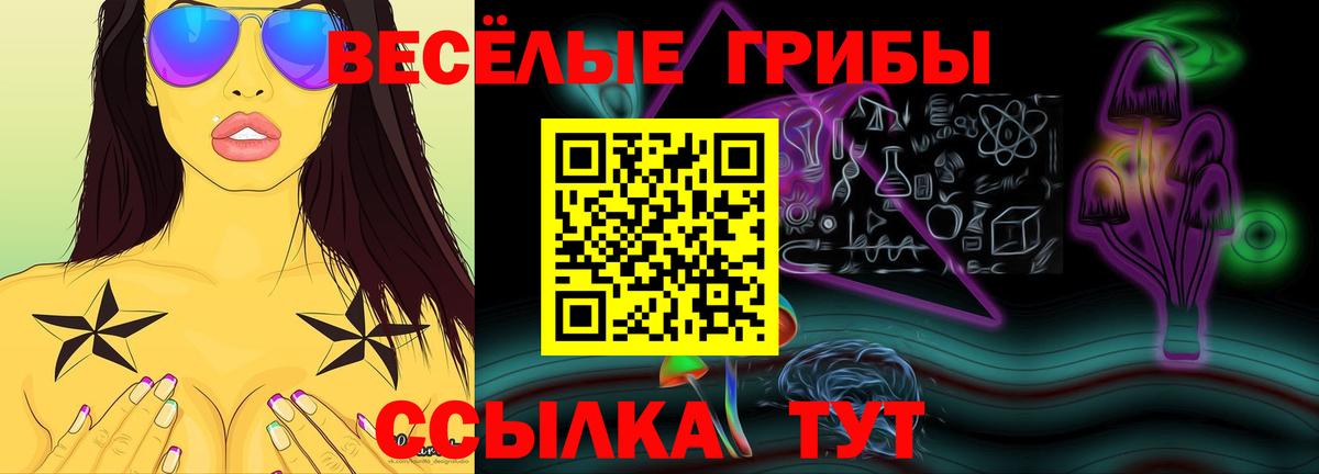 Лабинск  Псилоцибиновые грибы Psilocybine cubensis  Вход с VPN 